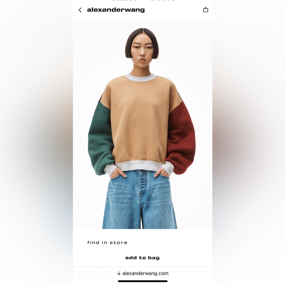 Alexander Wang colorblock crewneck pullover in terry